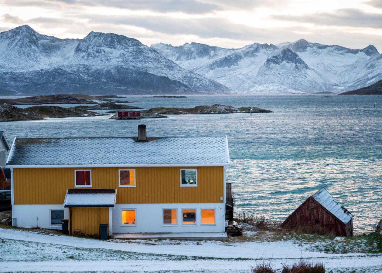 Sommaroya Beach Apartment Tromsø Extérieur photo